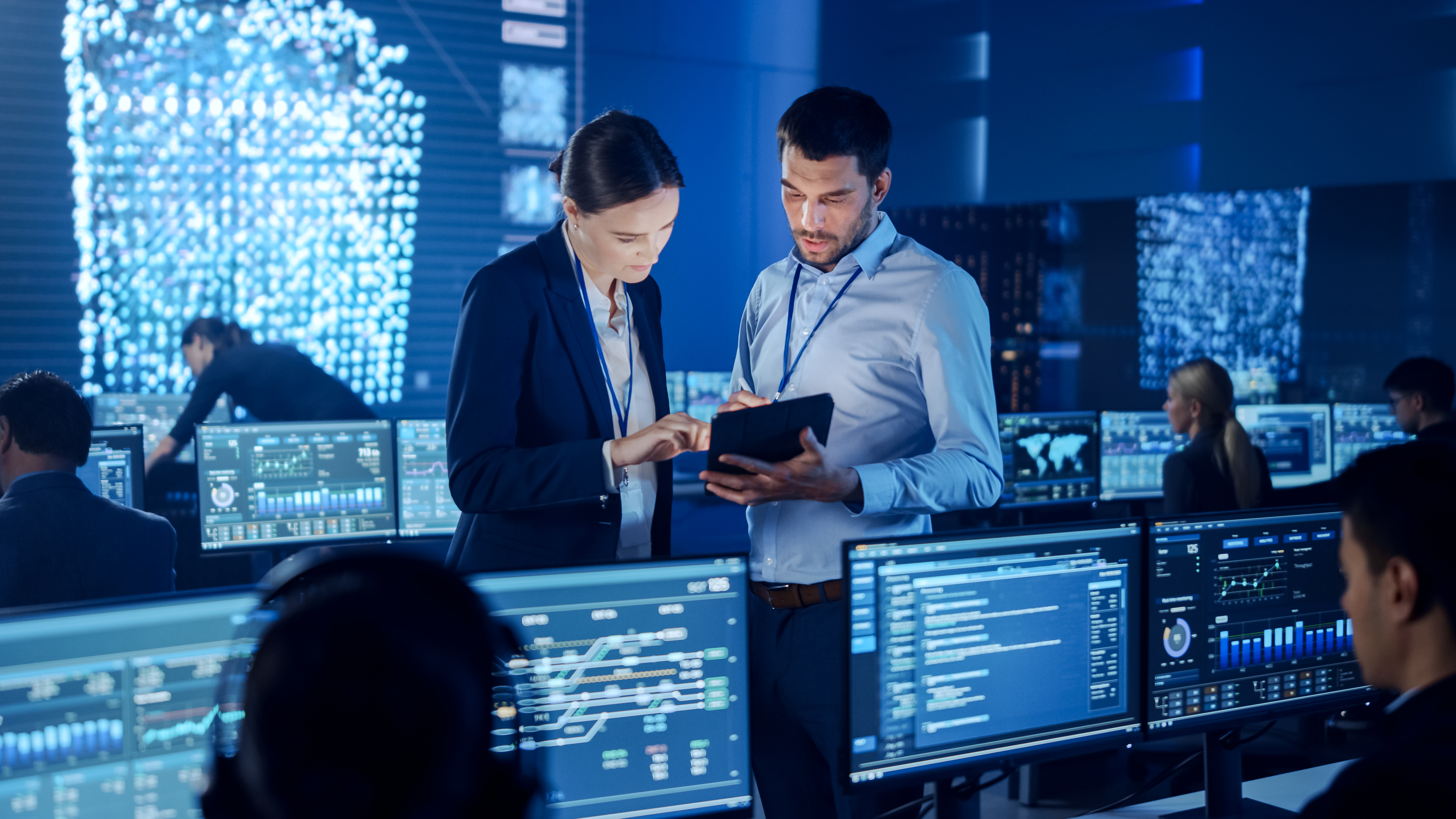 Software Escrow for Public Sector
